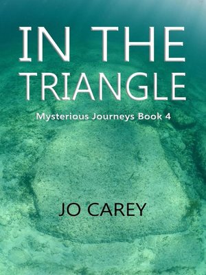 cover image of In the Triangle
